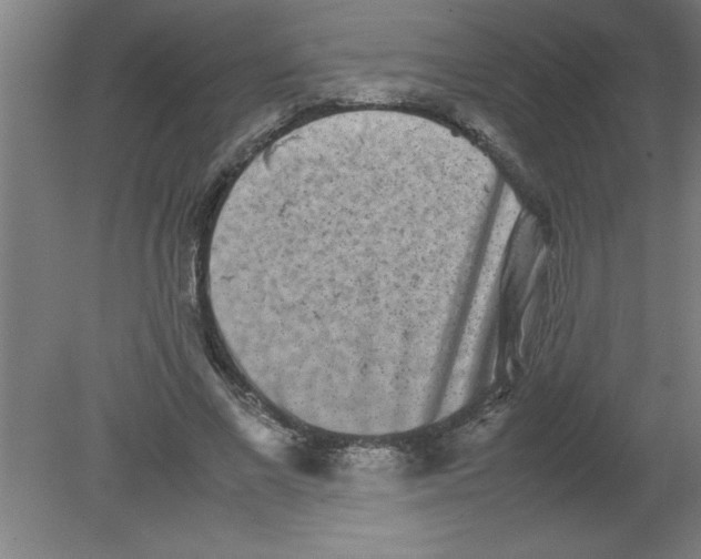 X0000080120685200612302011