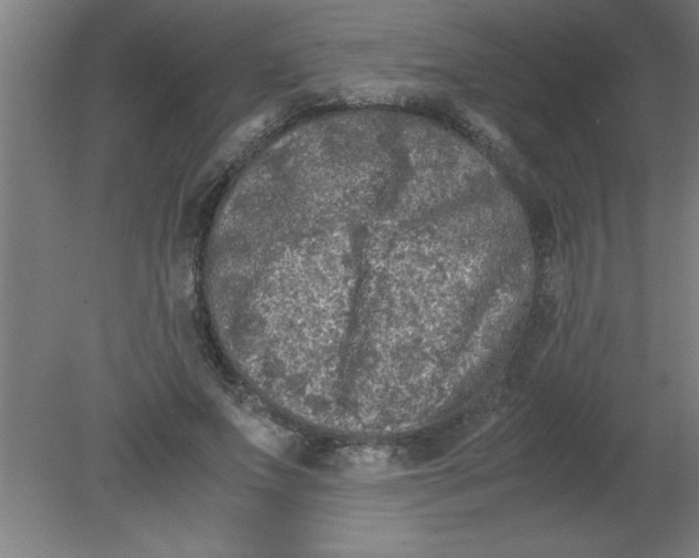 X0000080120687200612302011