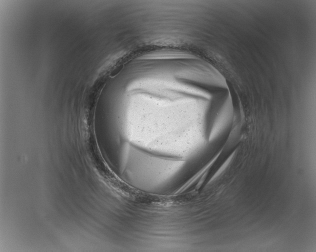 X0000080120688200612302011