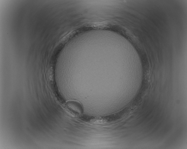 X0000080120689200612302011