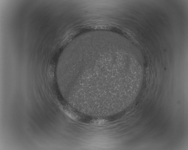 X0000080120695200612302010