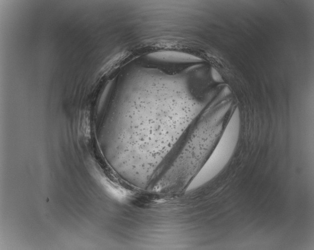 X0000080120696200612302010