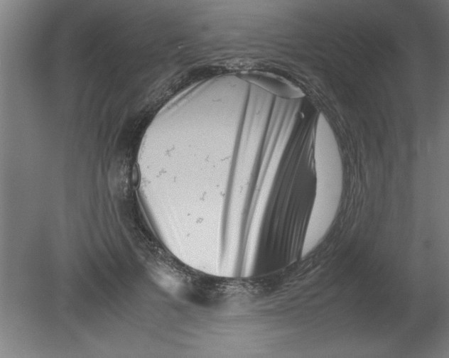 X0000080120697200612302010