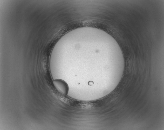 X0000080120698200612302010