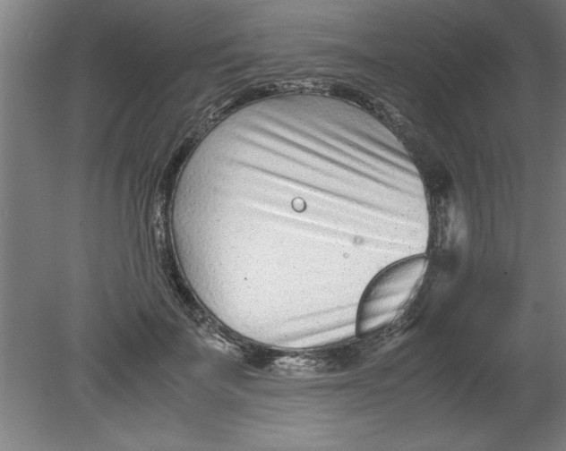 X0000080120699200612302010