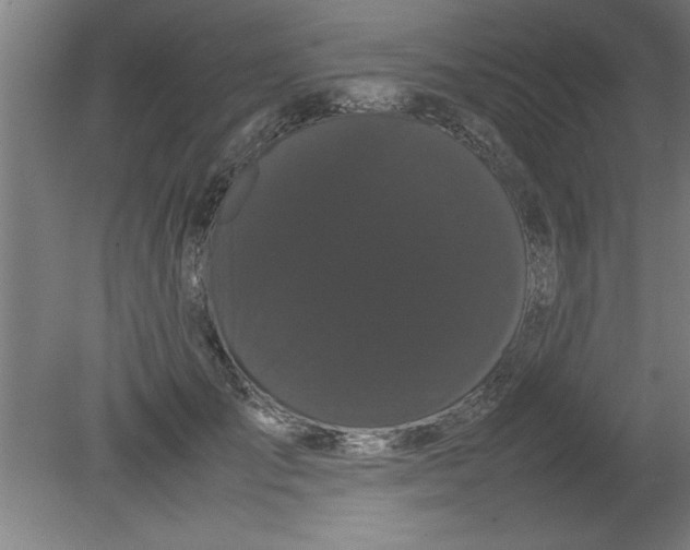 X0000080120701200612302010