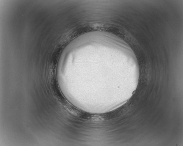 X0000080120702200612302010