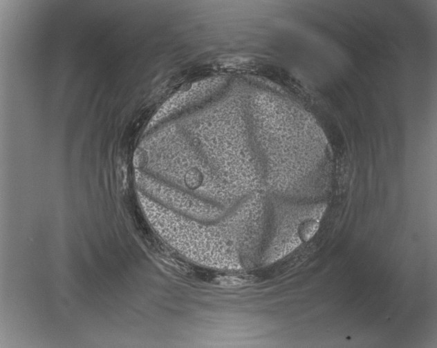 X0000080120703200612302010