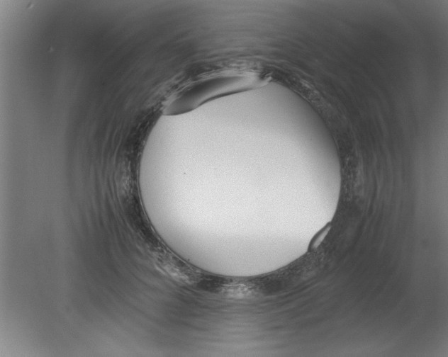 X0000080120704200612302010