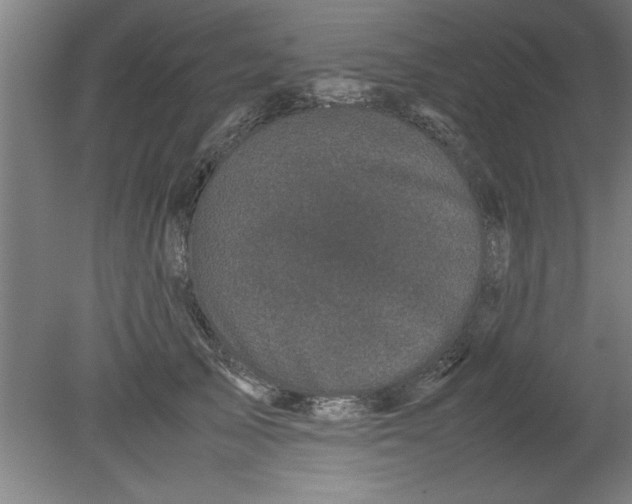 X0000080120705200612302010