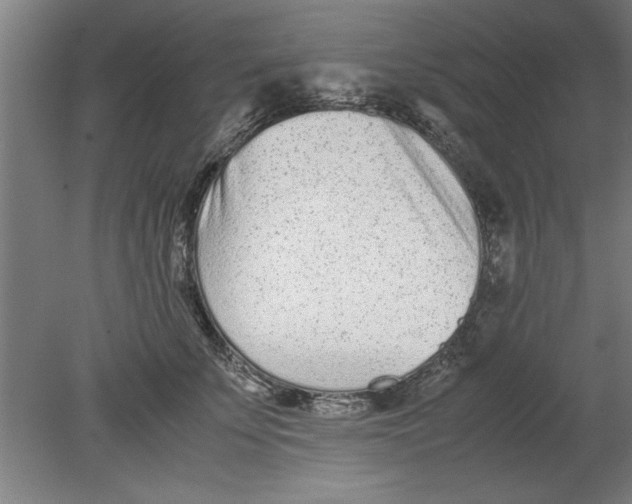 X0000080120707200612302010