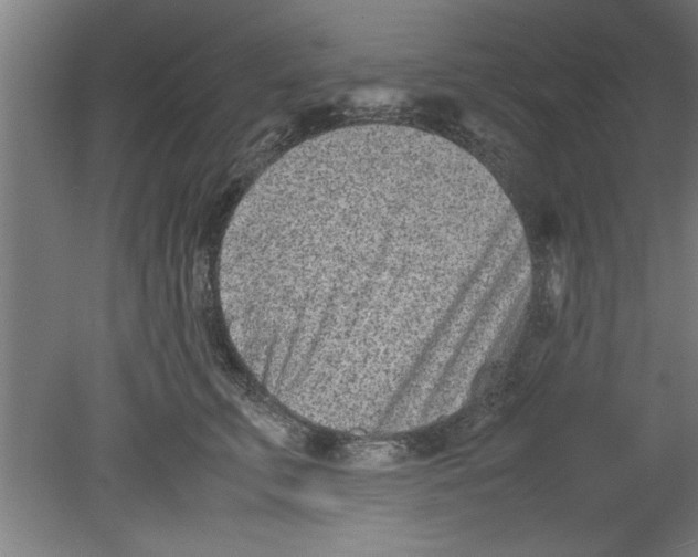 X0000080120711200612302010