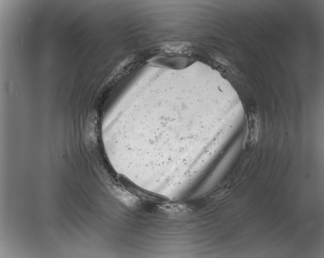 X0000080120712200612302010