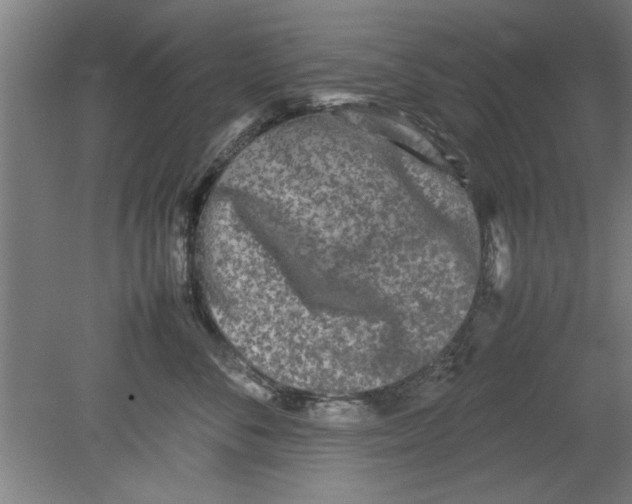 X0000080120716200612302010