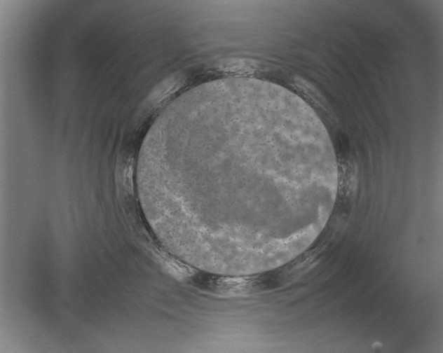 X0000080120717200612302010