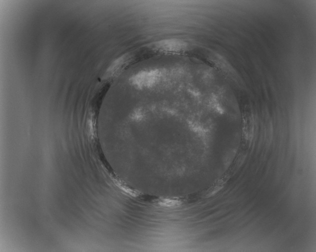 X0000080120718200612302010