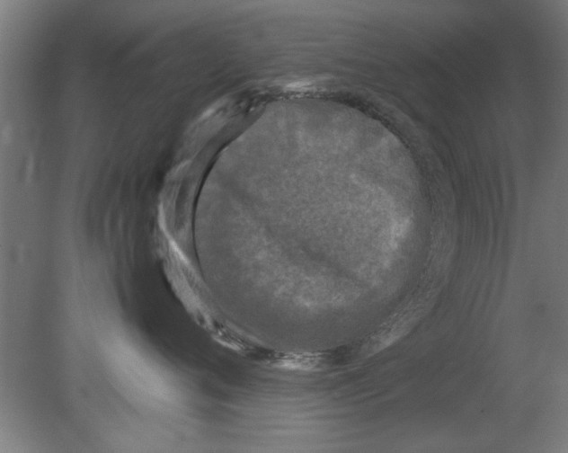 X0000080120720200612302010