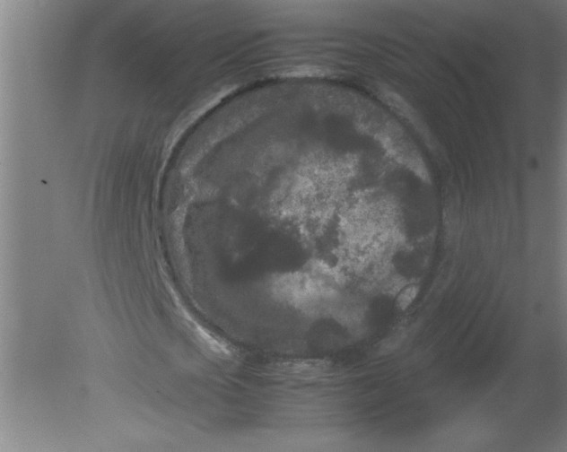 X0000080120721200612302009