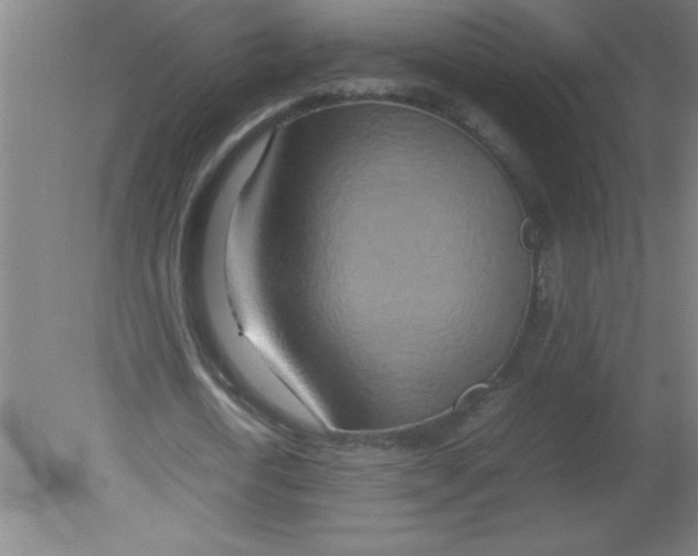 X0000080120722200612302009