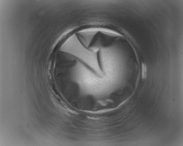 X0000080120723200612302009