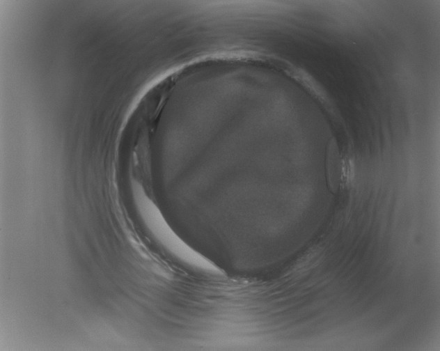 X0000080120724200612302009