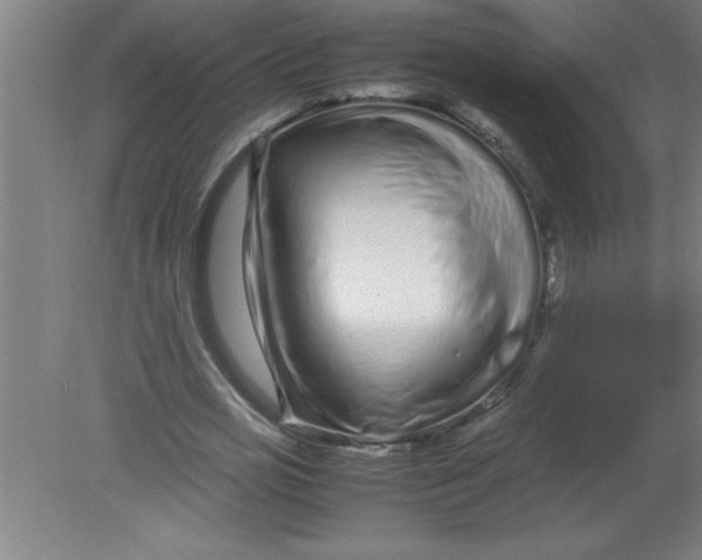 X0000080120725200612302009