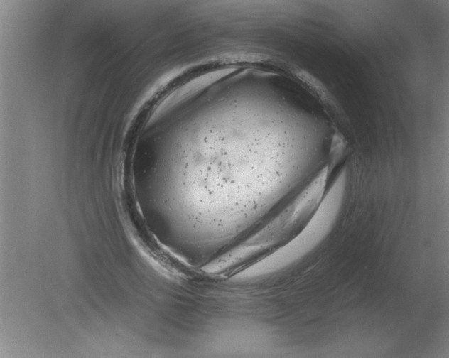 X0000080120726200612302009