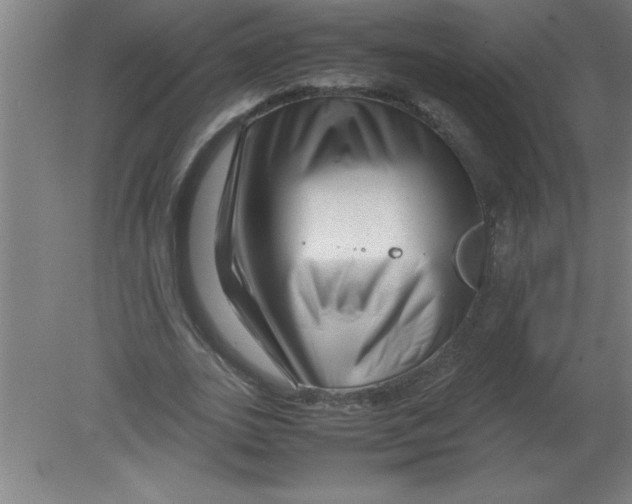 X0000080120727200612302009