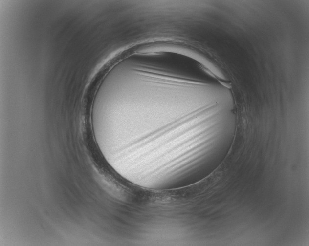 X0000080120728200612302009