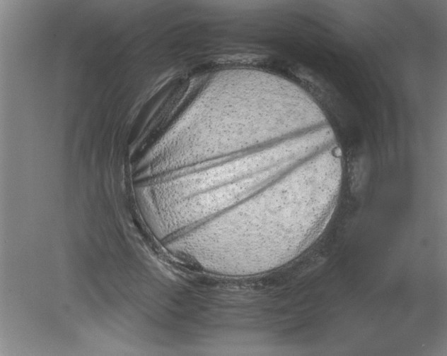 X0000080120729200612302009