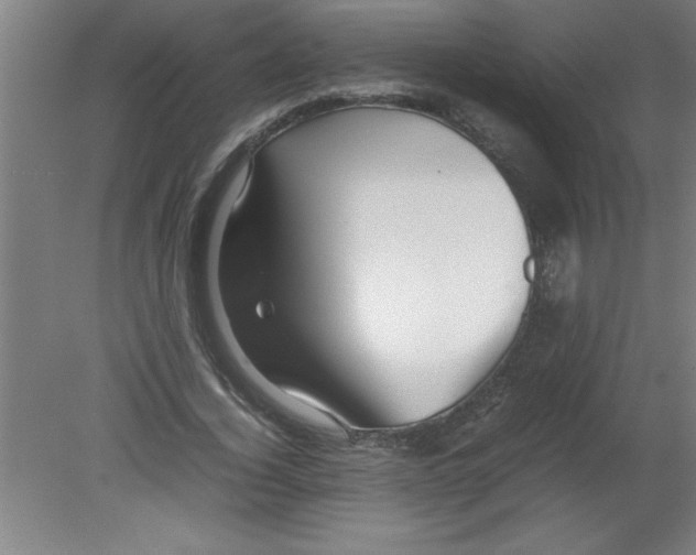 X0000080120732200612302009