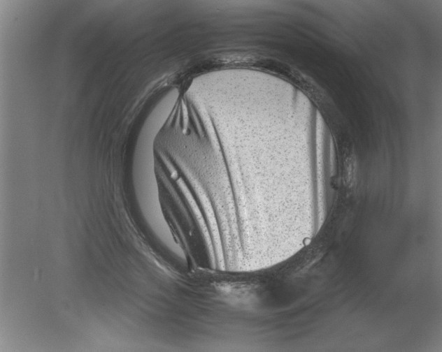 X0000080120733200612302009