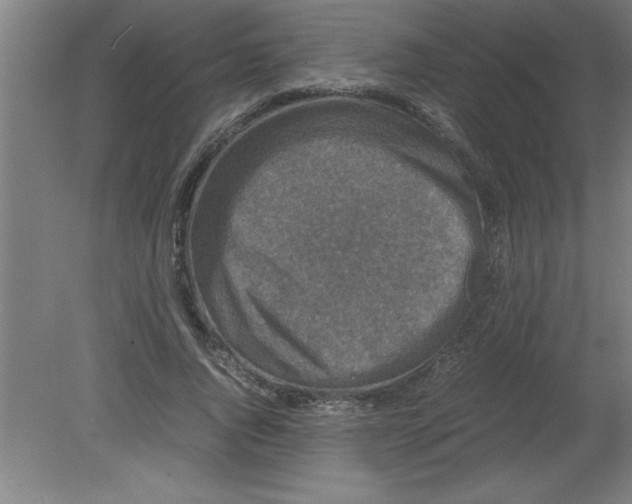 X0000080120736200612302009