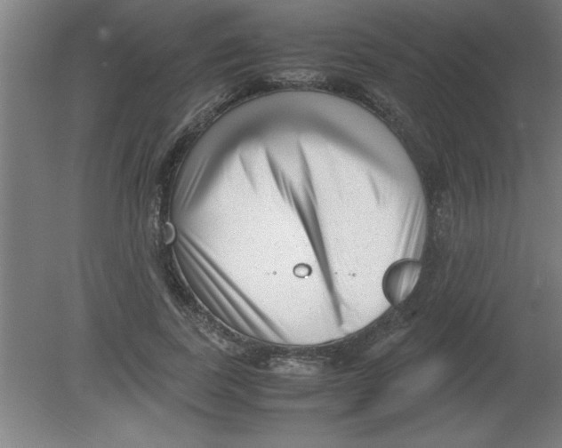 X0000080120739200612302010