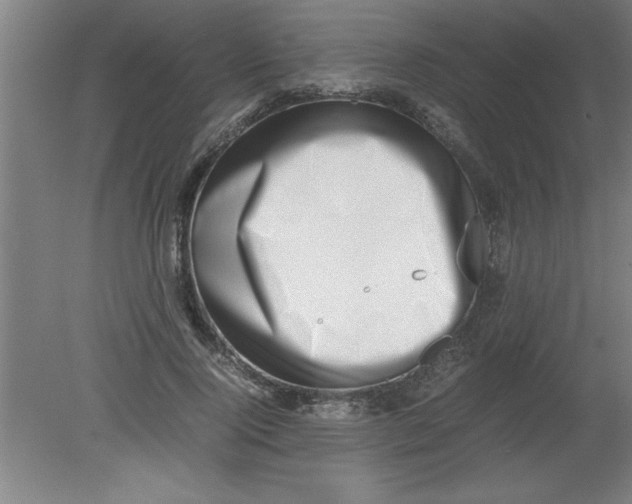 X0000080120740200612302010