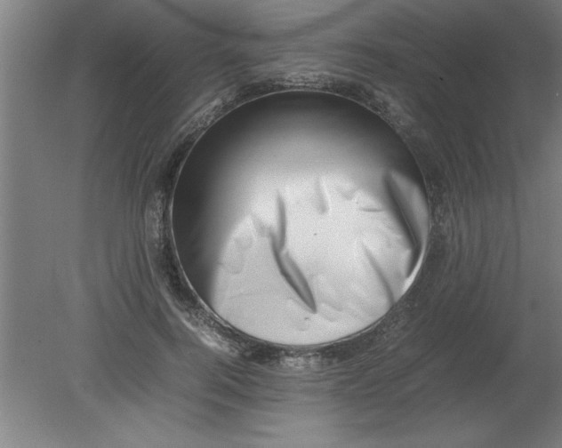 X0000080120744200612302010