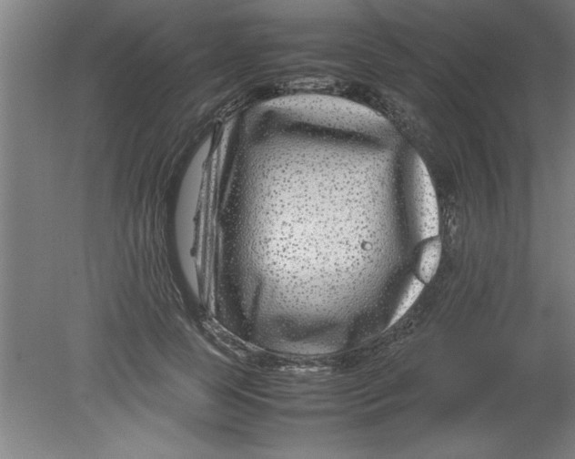 X0000080120745200612302010