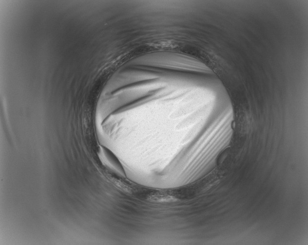 X0000080120747200612302010