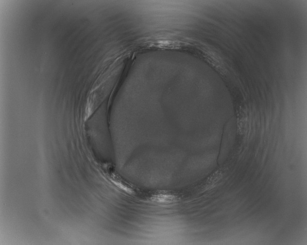 X0000080120748200612302010