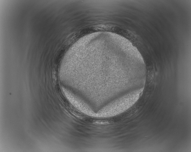 X0000080120749200612302010