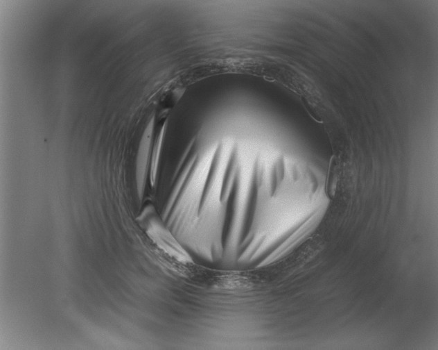 X0000080120750200612302010