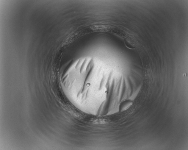 X0000080120751200612302010