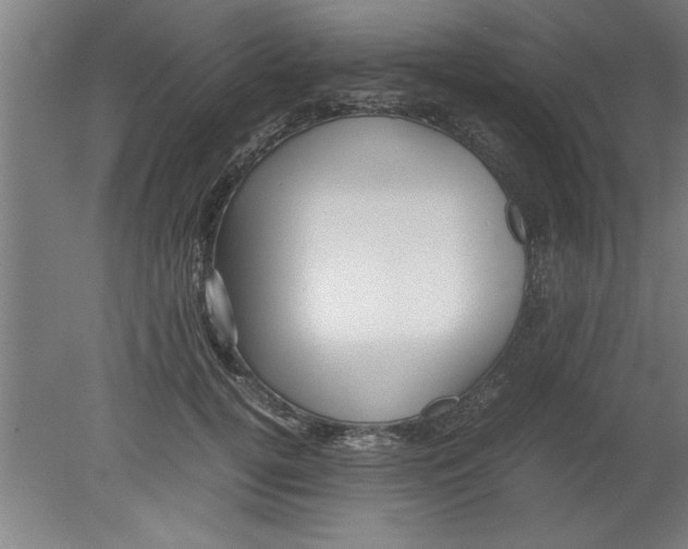 X0000080120752200612302010