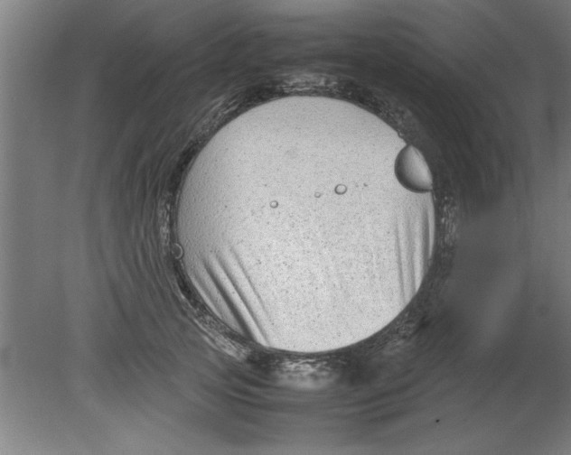 X0000080120753200612302010