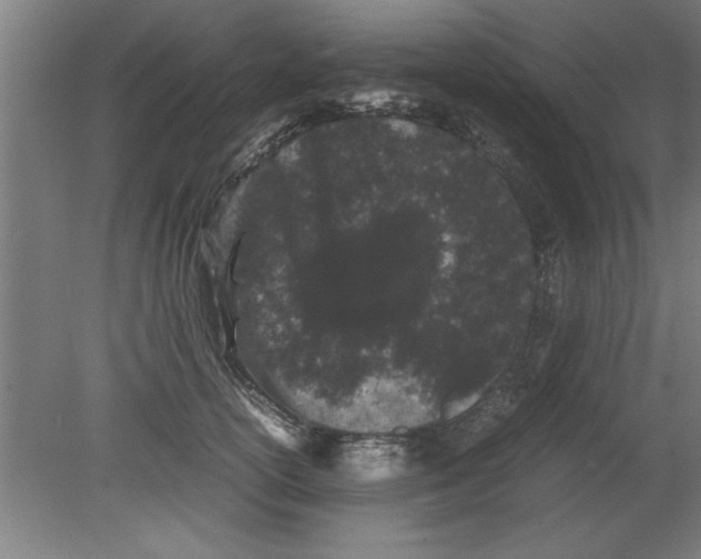 X0000080120754200612302010