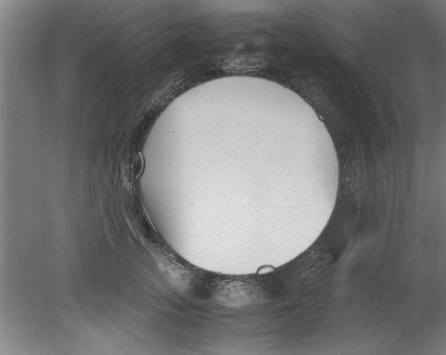 X0000080120755200612302010