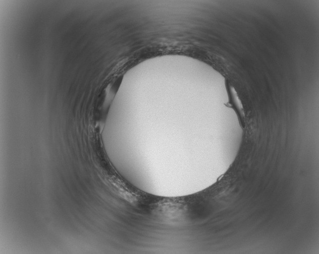 X0000080120756200612302010