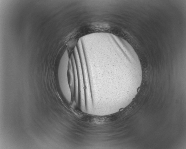 X0000080120757200612302010