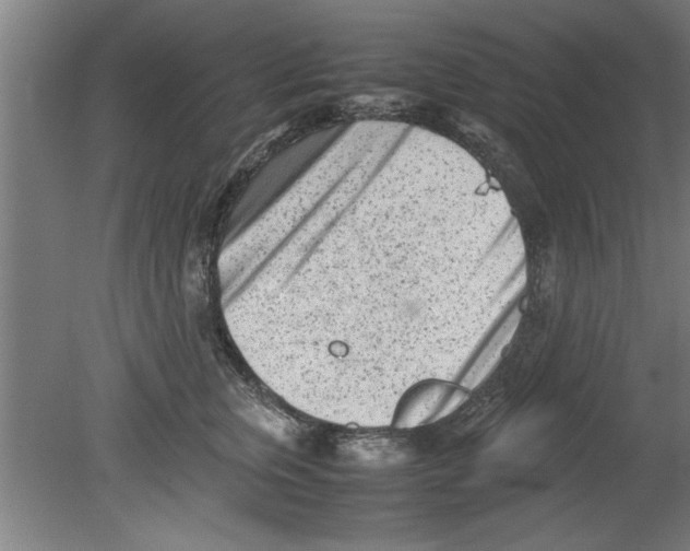 X0000080120759200612302010