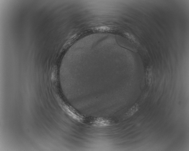 X0000080120760200612302010